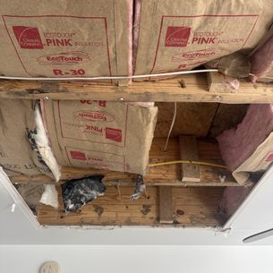 ceiling before